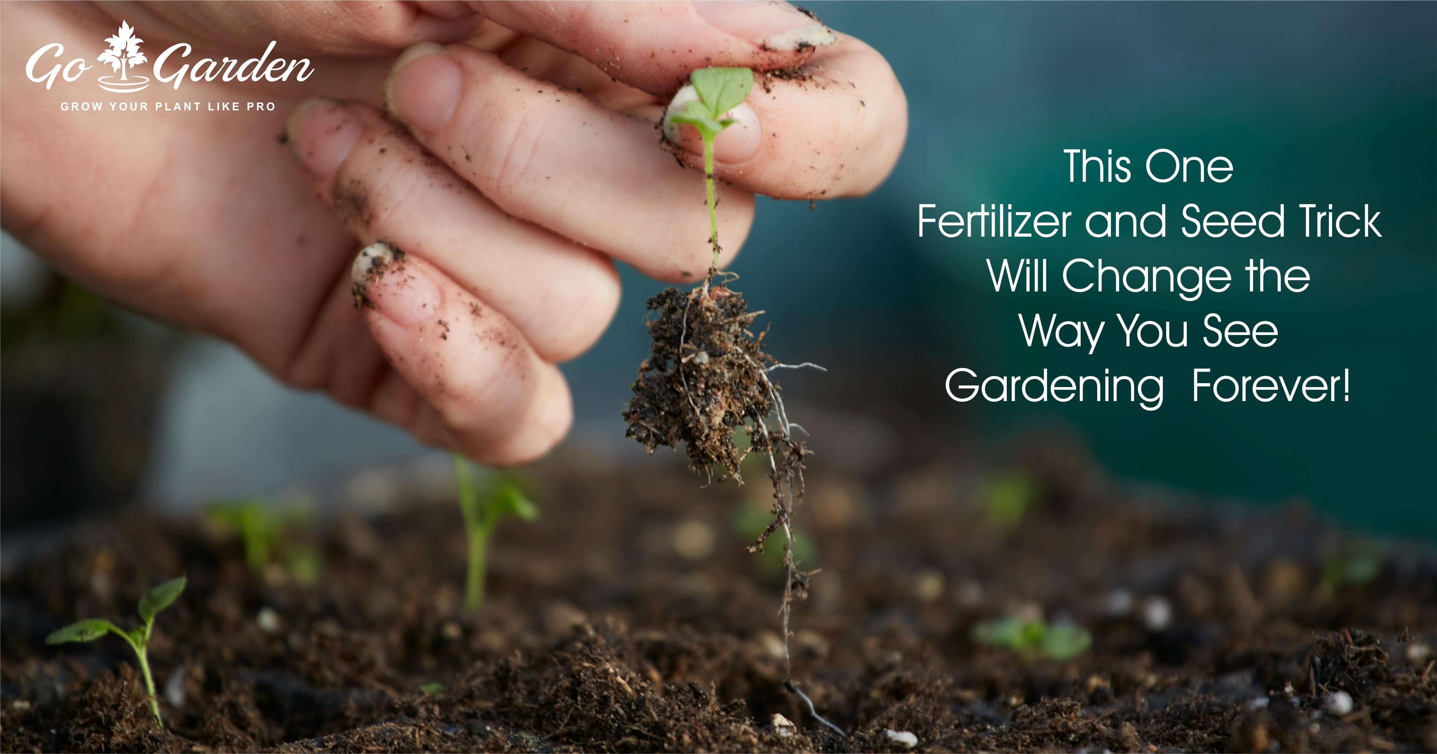Fertilizer and Seed