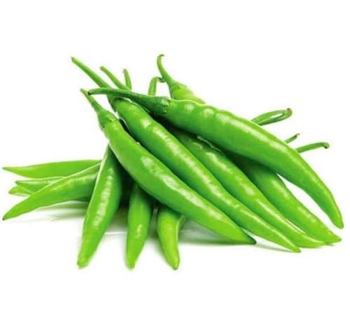 CHILLY Vegetable Seeds (GREEN, Pack of 10g, 2000+Seeds)