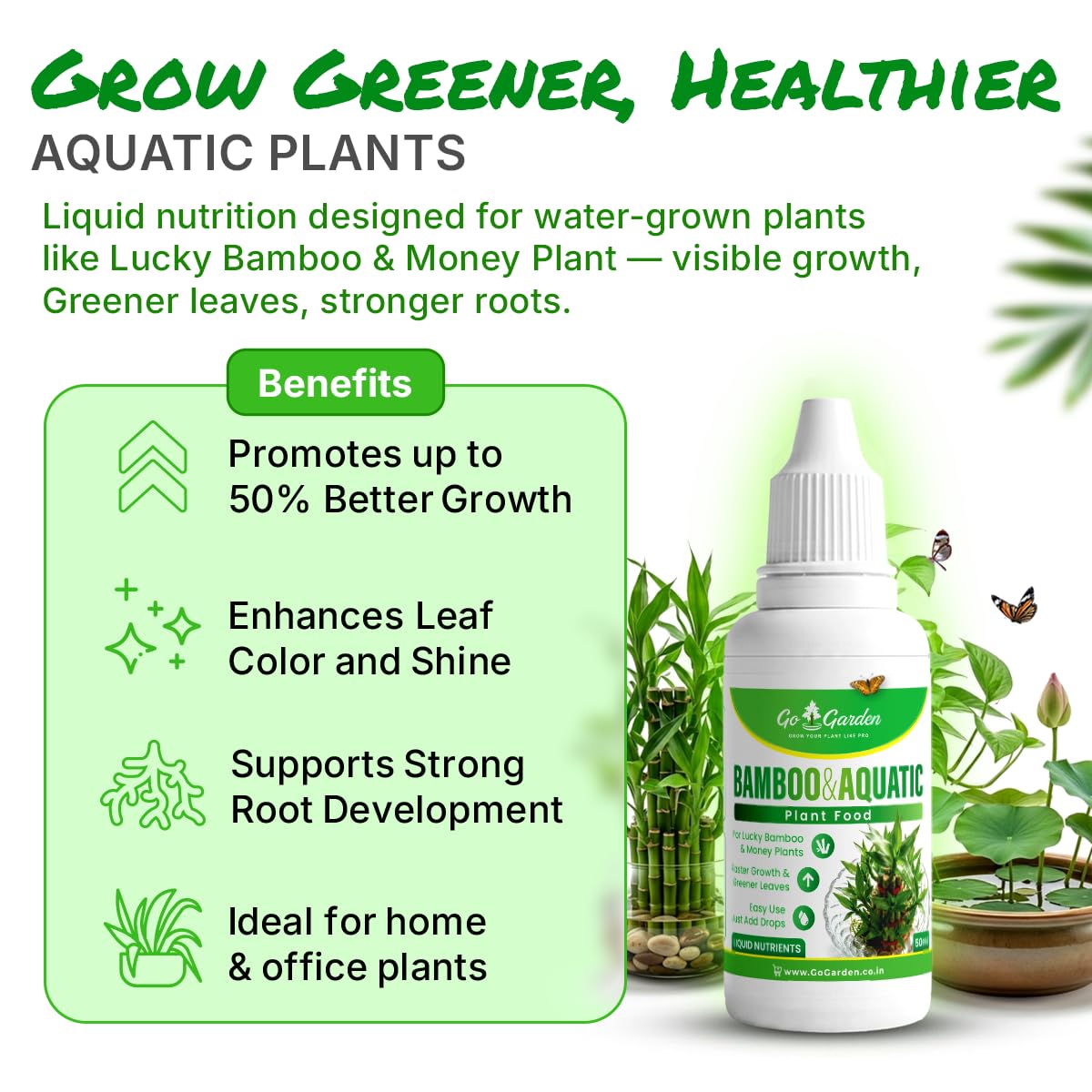 Bamboo & Aquatic Plant Food Liquid | Nutrients for Lucky Bamboo, Money Plant & Water Plants | Faster Growth & Greener Leaves | Easy Drop Application | 50 ml x1