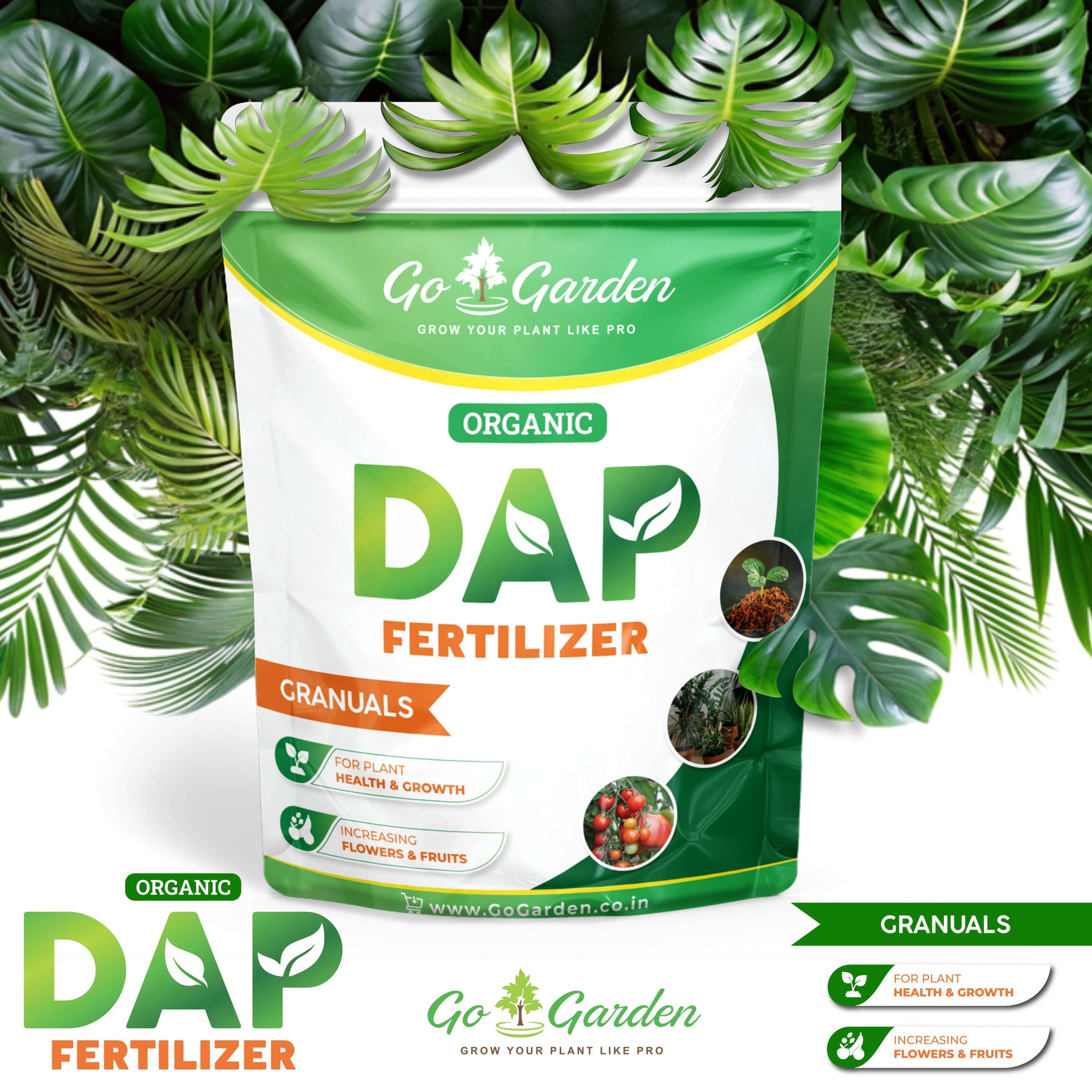 DAP Fertilizers Grow Stronger Stems