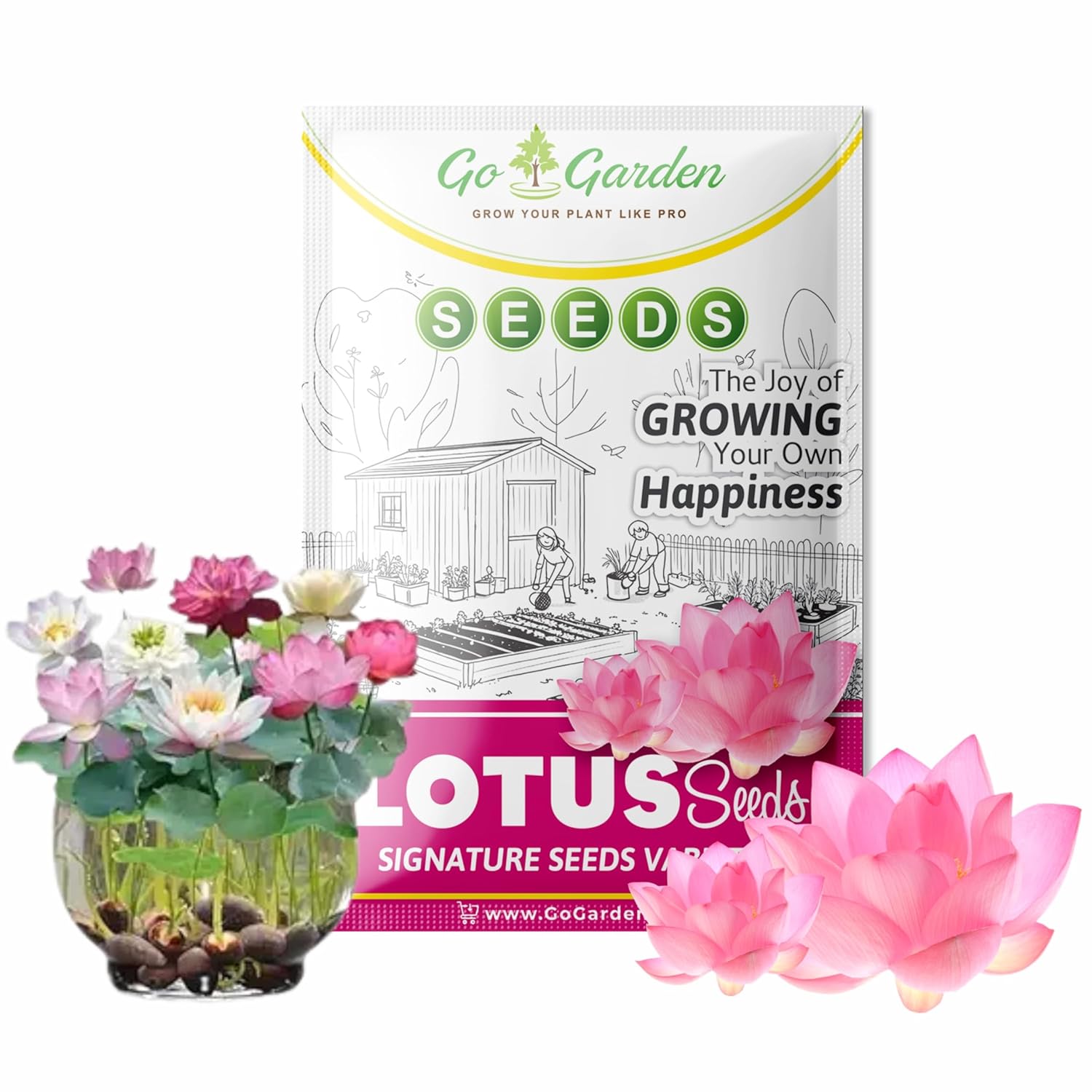 Lotus Seed for Planting - Pack of 20 Seed | High-Germination Lotus Seeds for Water Gardening, Home Garden, Ponds, and Outdoor Decor