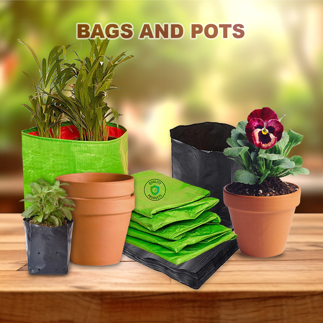 Menu Banner Image