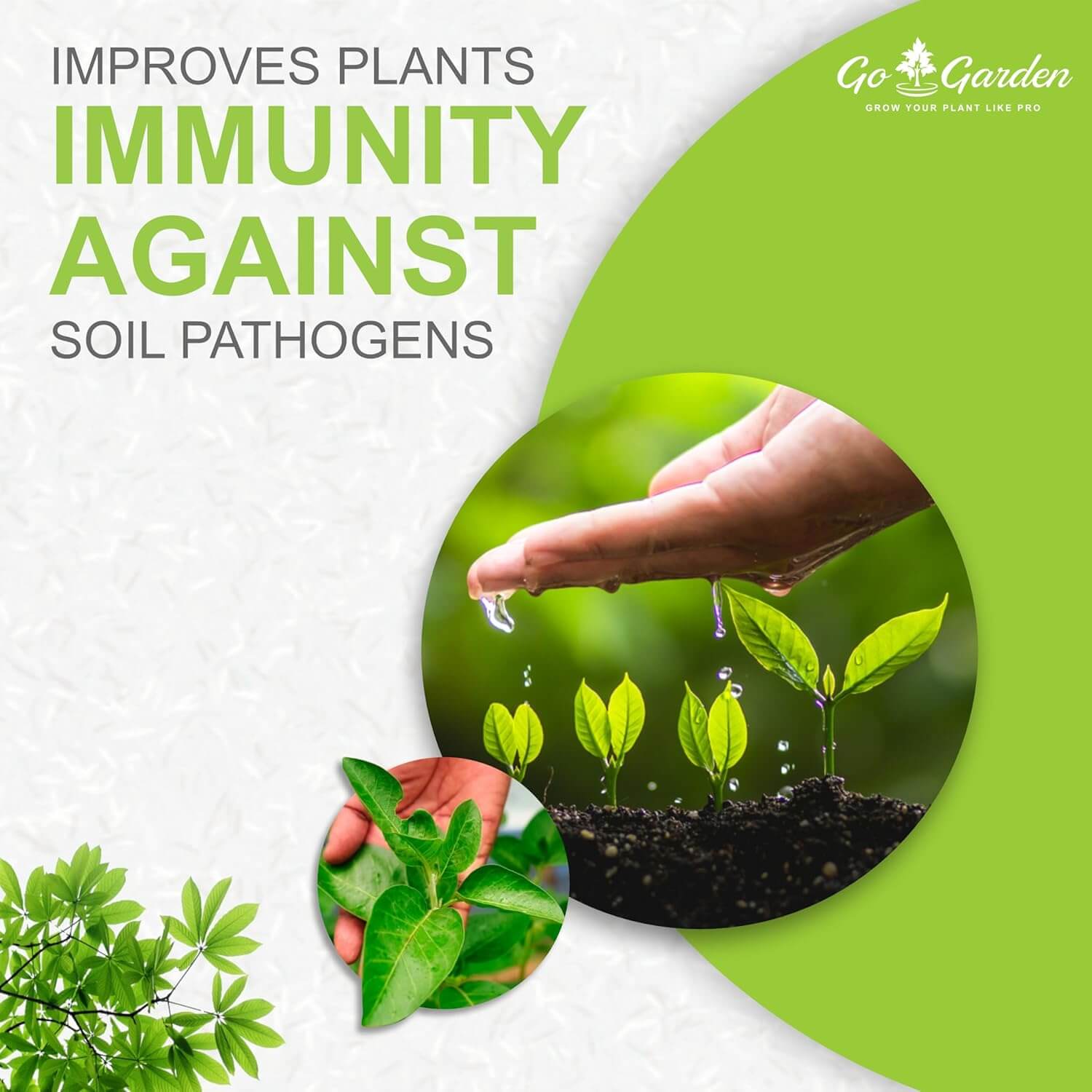Trichoderma Viridi Fungicide for plants Bio Fungicide- Prevents Fungal and Bacterial Diseases in Plants (2 x 10^8 CFU per Gram)