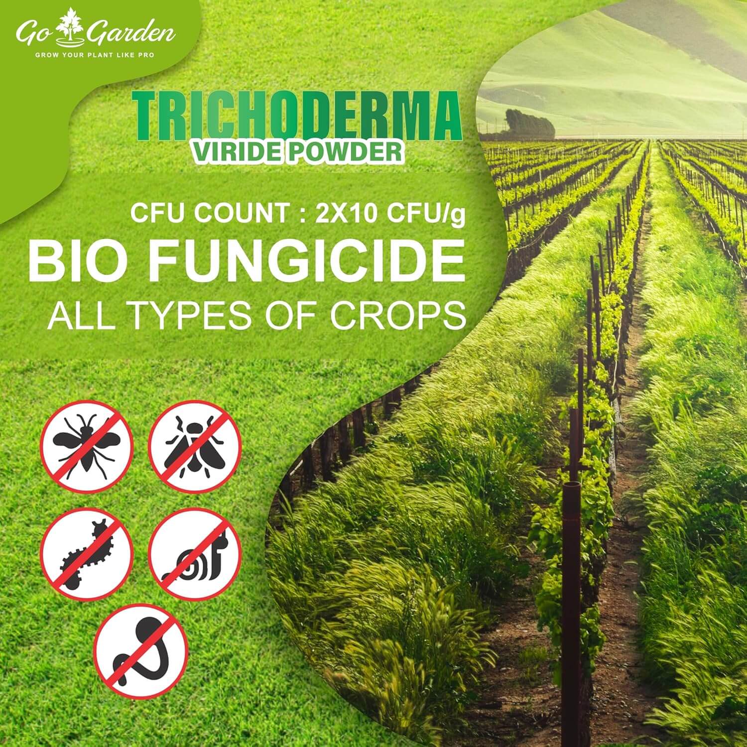 Trichoderma Viridi Fungicide for plants Bio Fungicide- Prevents Fungal and Bacterial Diseases in Plants (2 x 10^8 CFU per Gram)