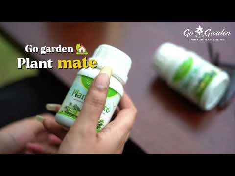 Go Garden PlantMate 50 Seaweed Growth Tablets | Organic Plant Fertilizer Tabs for Faster Growth, Flowering & Soil Health | Easy-to-Use | For All Plants