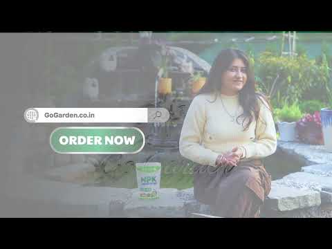 Go Garden NPK 19 19 19 Fertilizer for Plants and Gardening Purpose