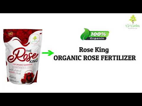 Go Garden Rose King Special Organic Fertilizer for Rose Plants | Get More Flowers on Healthy Plant