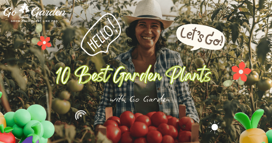 Best Garden Plants