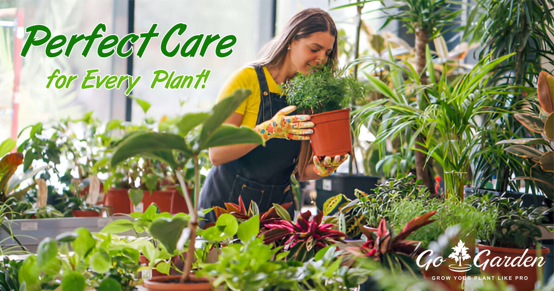 Perfect Gardening Products