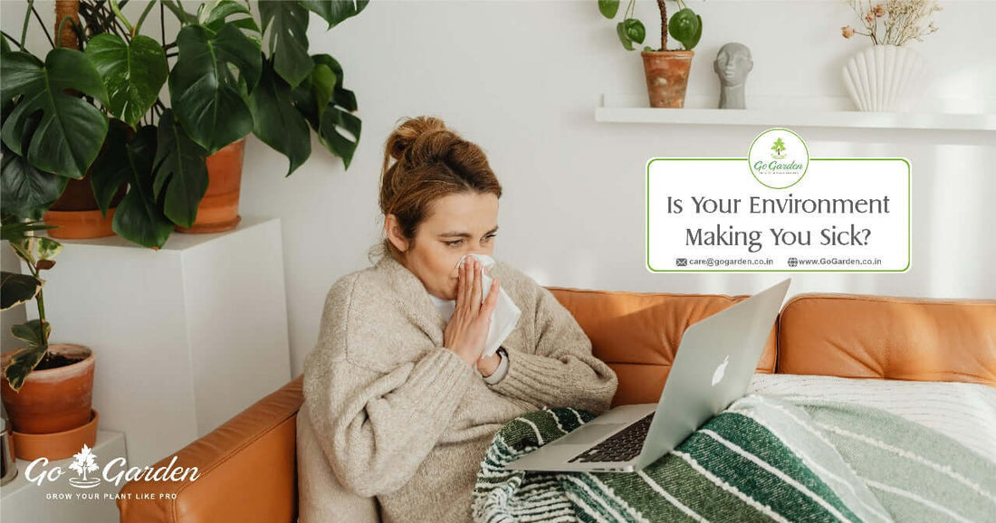 Fertilizer for Gardenias by Go Garden