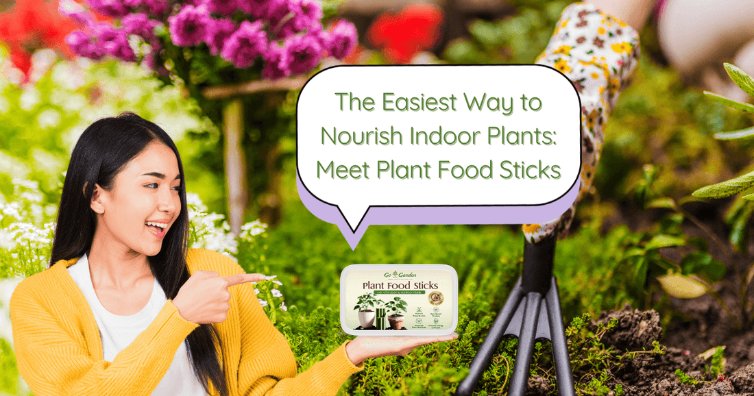 Plant Food Sticks