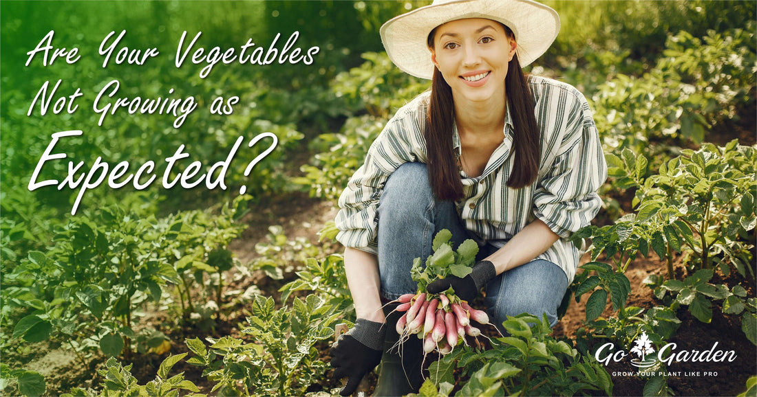 Urea Nitrogen Fertilizer