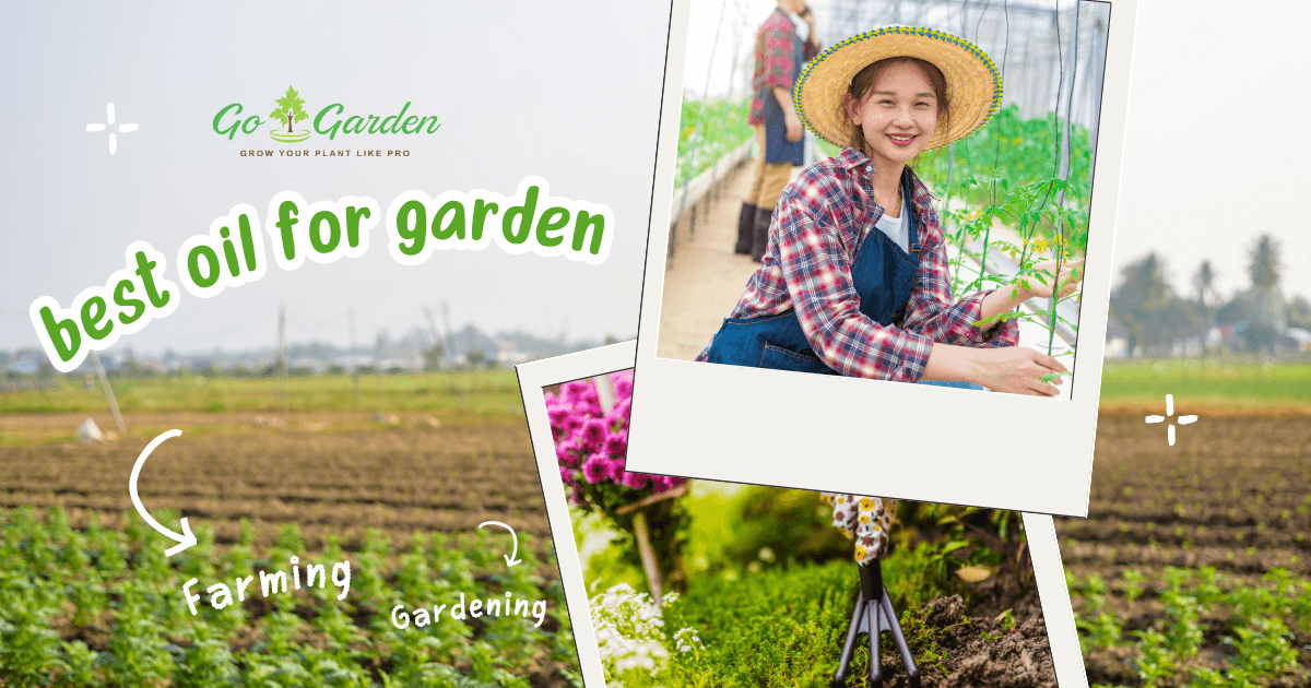 best oil for garden
