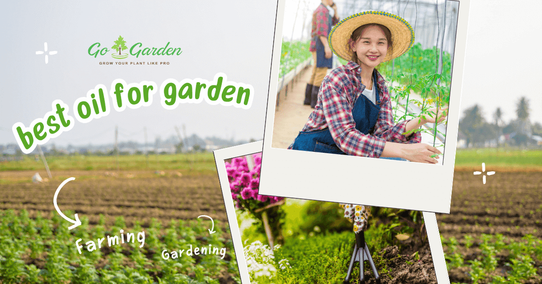 best oil for garden