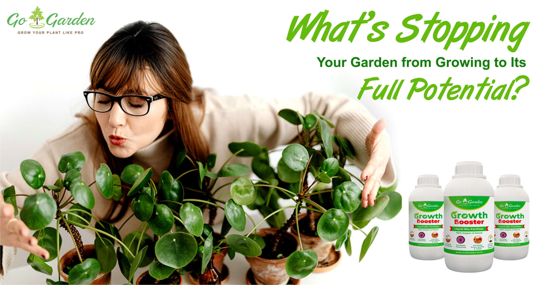 Go Garden Growth Booster