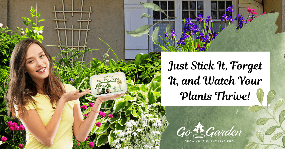 Plant Food Sticks