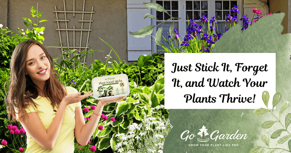 Plant Food Sticks