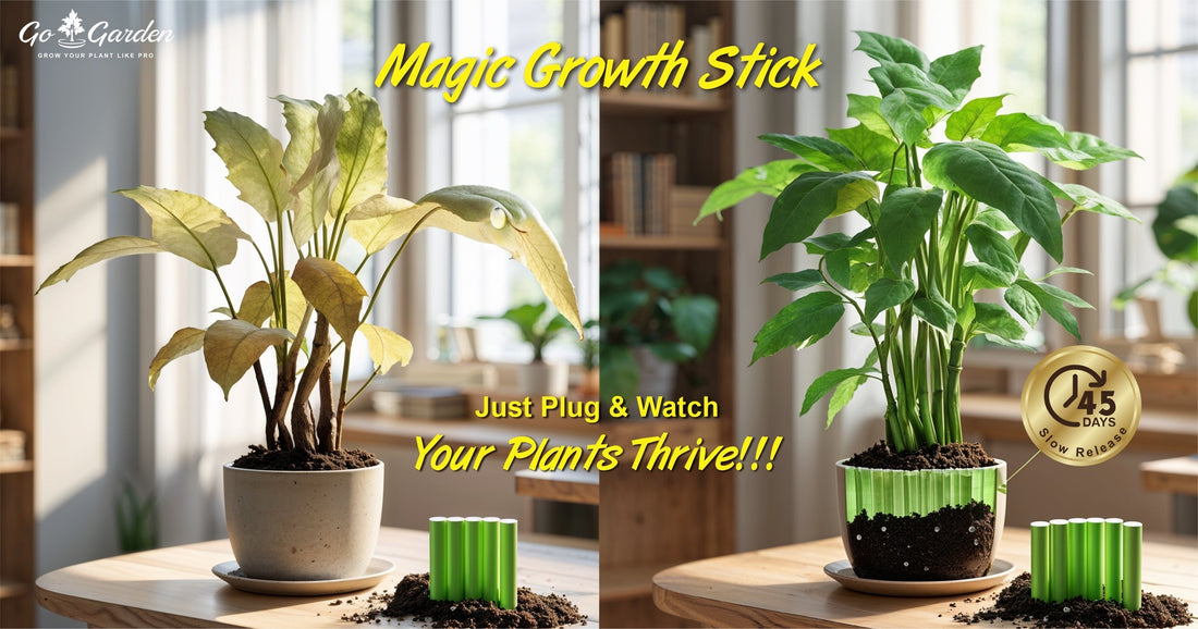 Magic Growth Stick