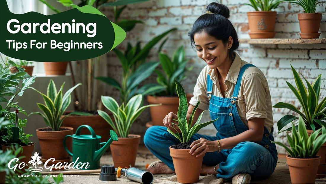 Gardening Tips for Beginners