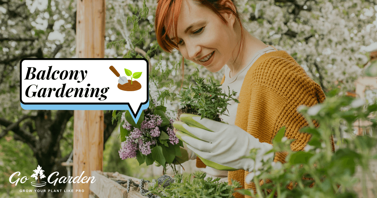Balcony Gardening in India