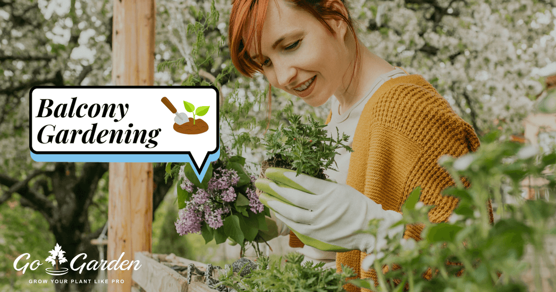 Balcony Gardening in India