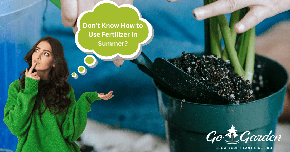 How to Use Fertilizer