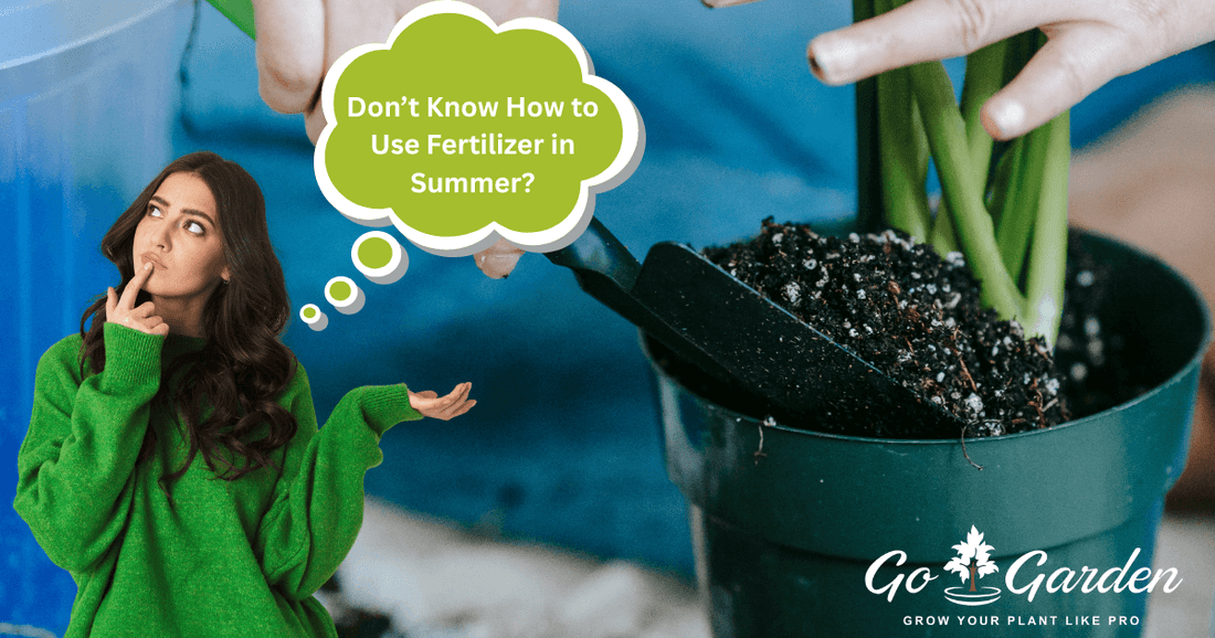 Using Fertilizers How to Use Fertilizer in Summer: Seasonal Tips