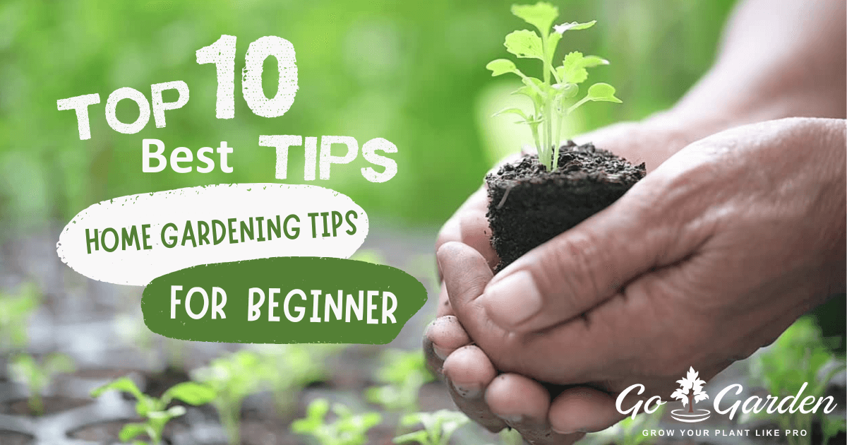 Best Home Gardening Tips