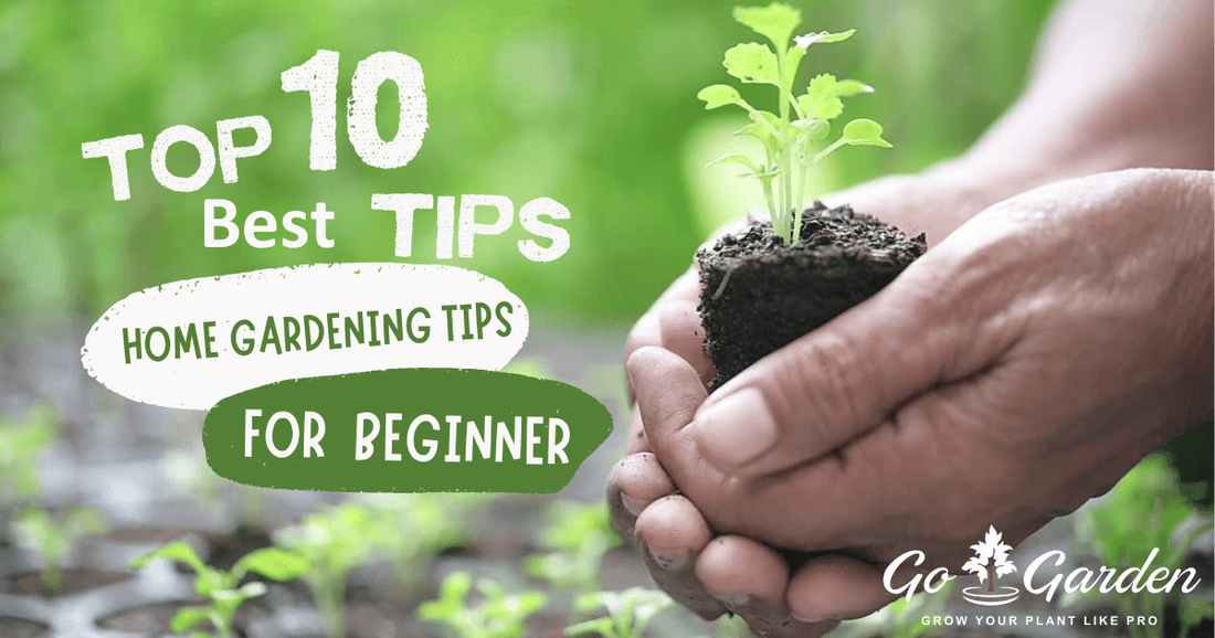 Best Home Gardening Tips