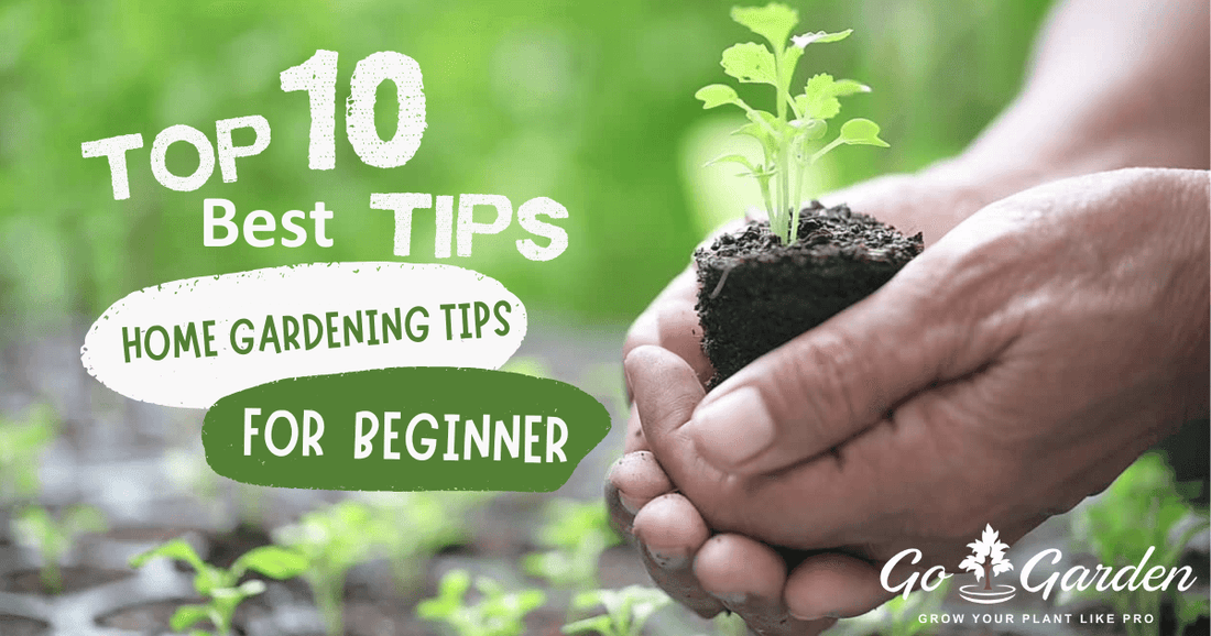 Advanced tips to try after success