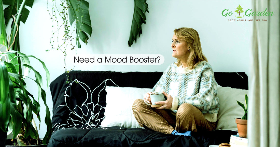 Fertilizer for Gardenias