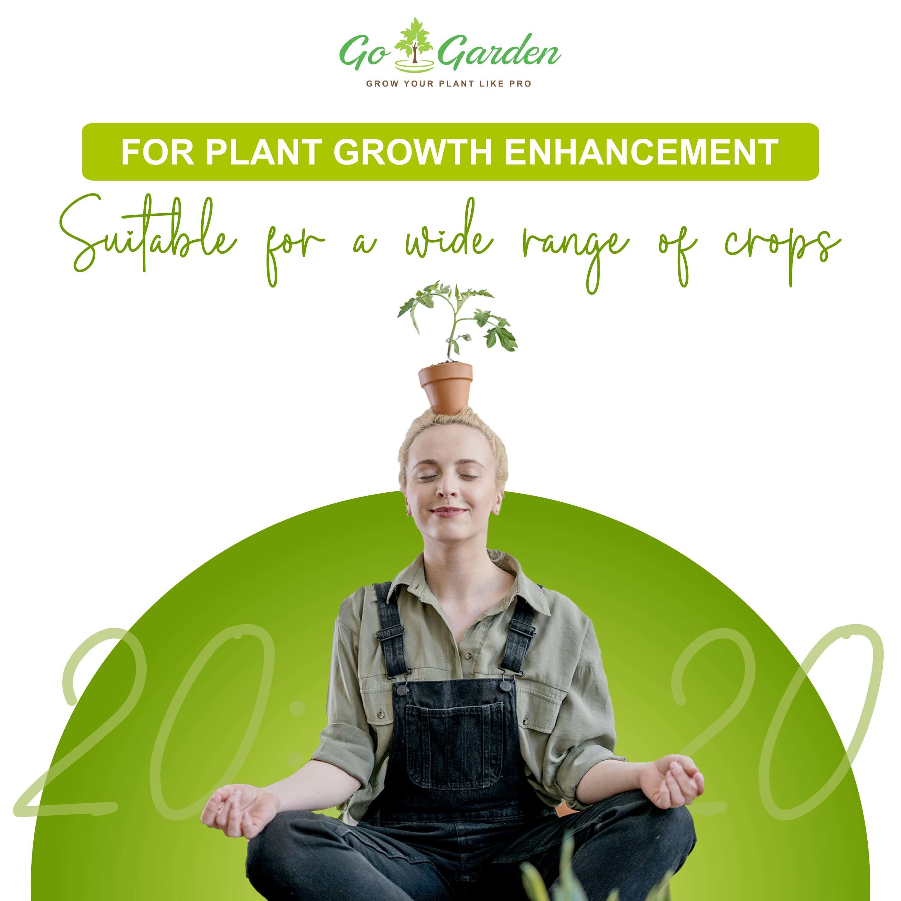 NPK 20 20 20 Water Soluble Granules Fertilizer for Plants or Abundant Flowering and Plant Growth, Fertilizer for Home Plants 100% Water Soluble