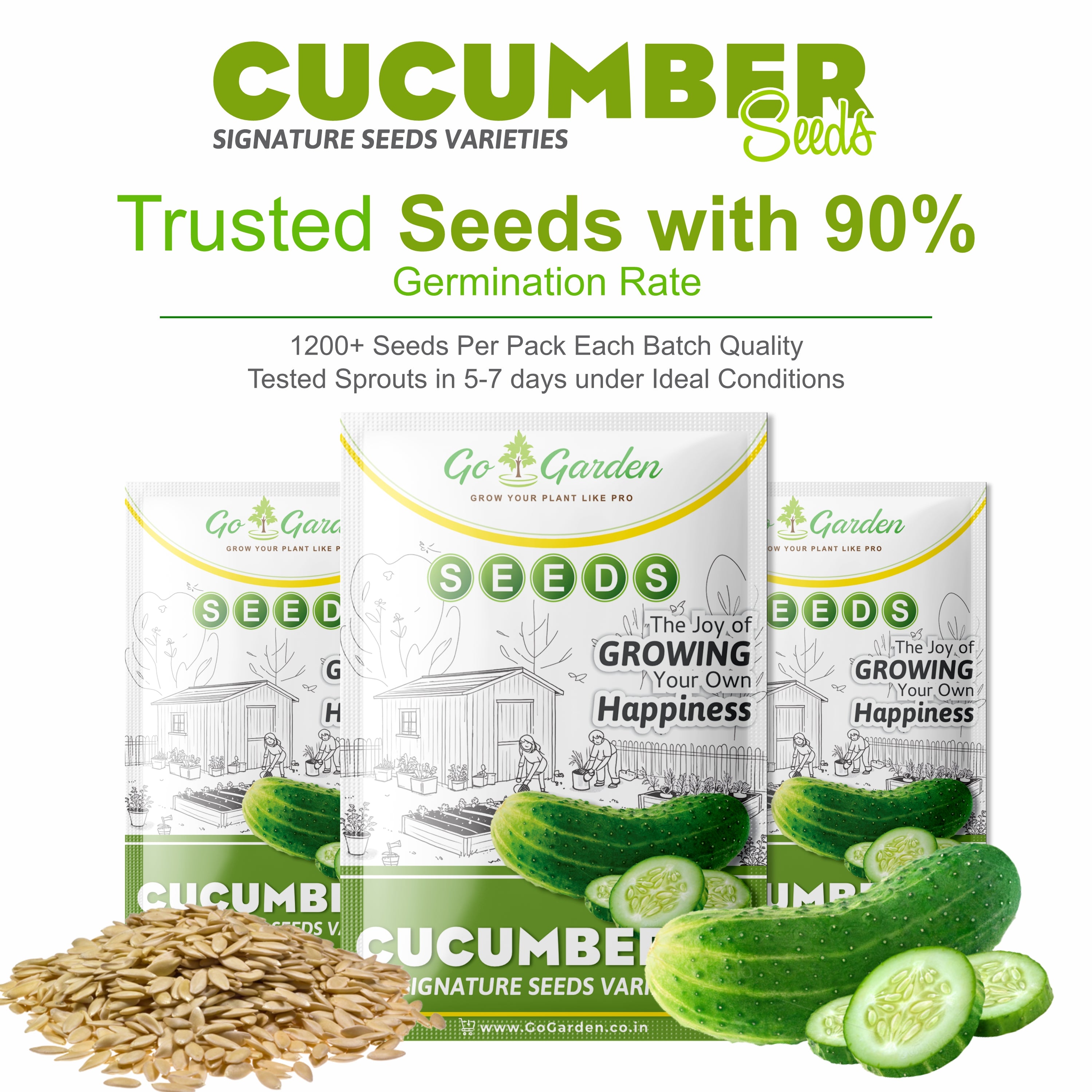 Cucumber Vegetable Seeds (Khira, Pack of 10g, 300+ Seeds) Seeds to grow