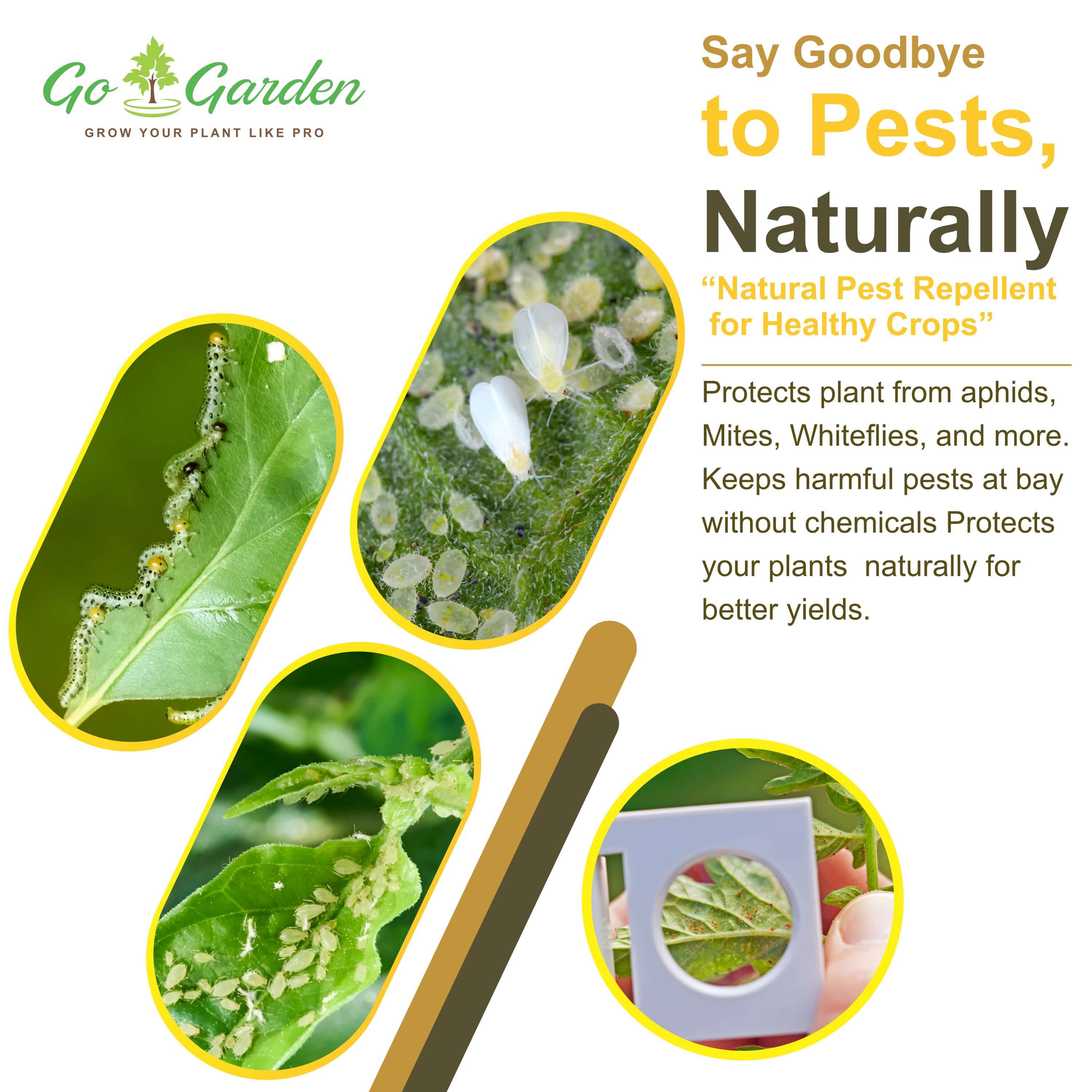 Neem Cake Powder for Plants and Home Garden 100% Organic Fertilizer and Pest Repellen