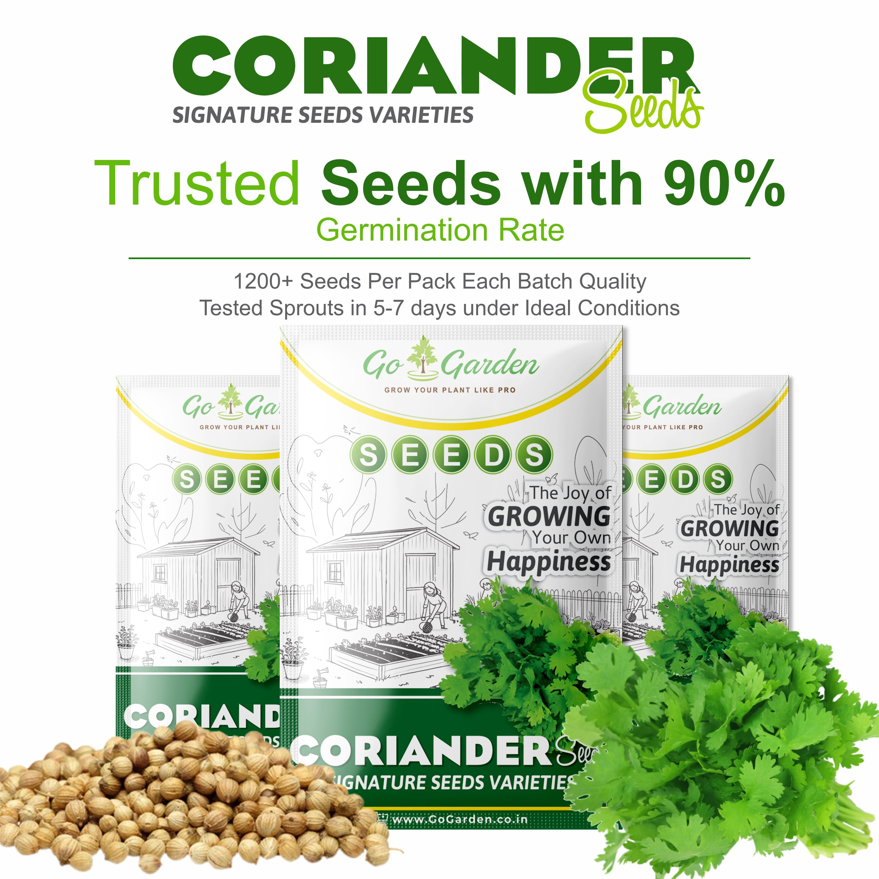 Coriander धनिया Seeds (Dhaniya, Pack of 20g, 1200+ Seeds) Seeds to grow all seasons in Your Home & kitchen garden