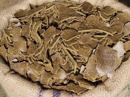 Mustard Cake for Plants and Home Garden – Best Organic Fertilizer