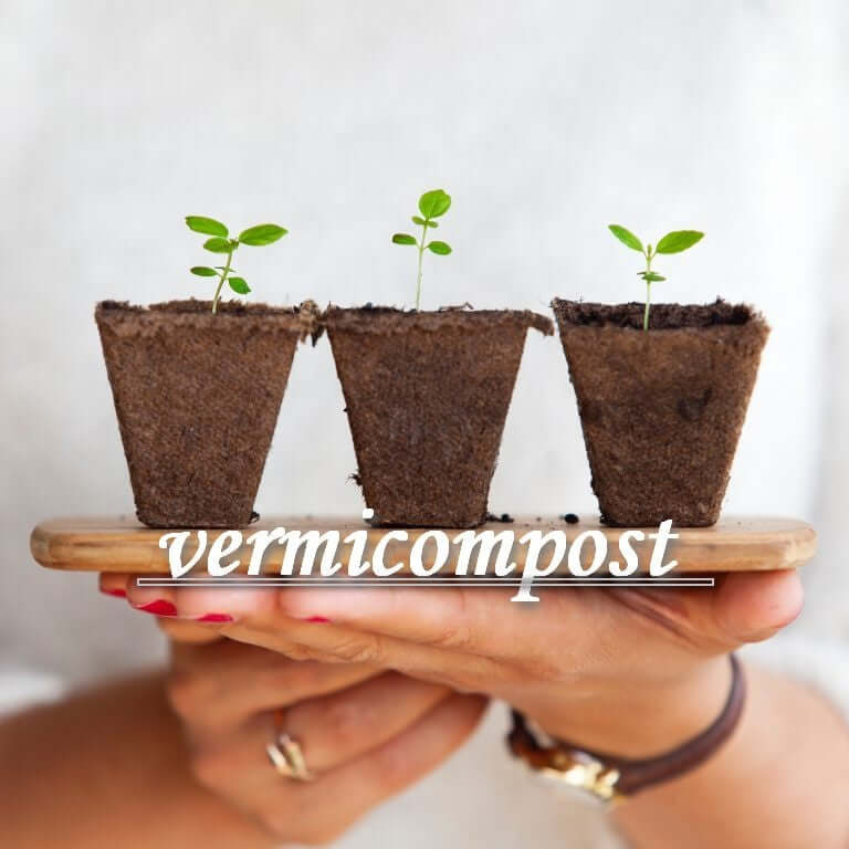 Vermicompost Complete Plant Food Effective Organic Fertilizer & Manure 100% Virgin