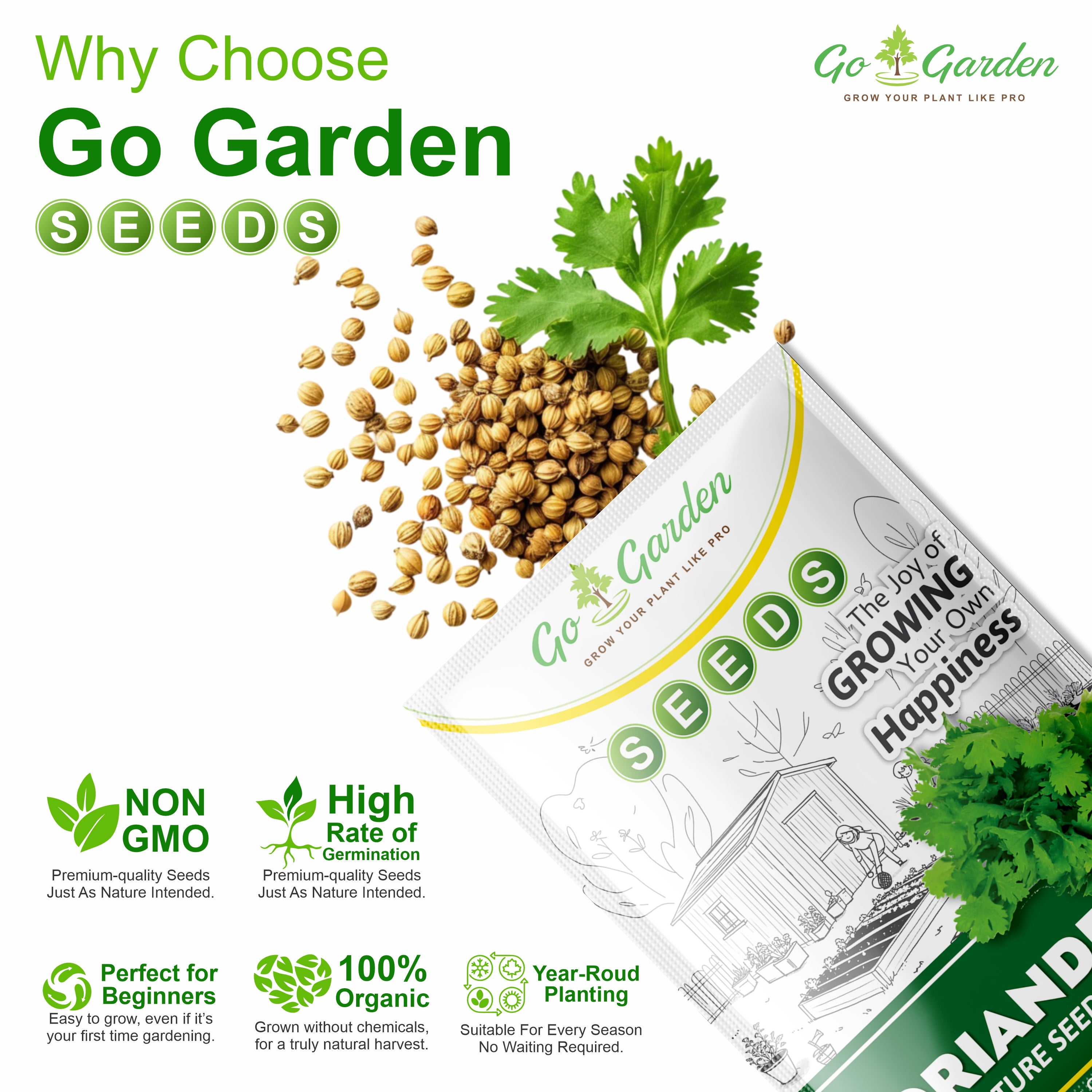 Coriander धनिया Seeds (Dhaniya, Pack of 20g, 1200+ Seeds) Seeds to grow all seasons in Your Home & kitchen garden