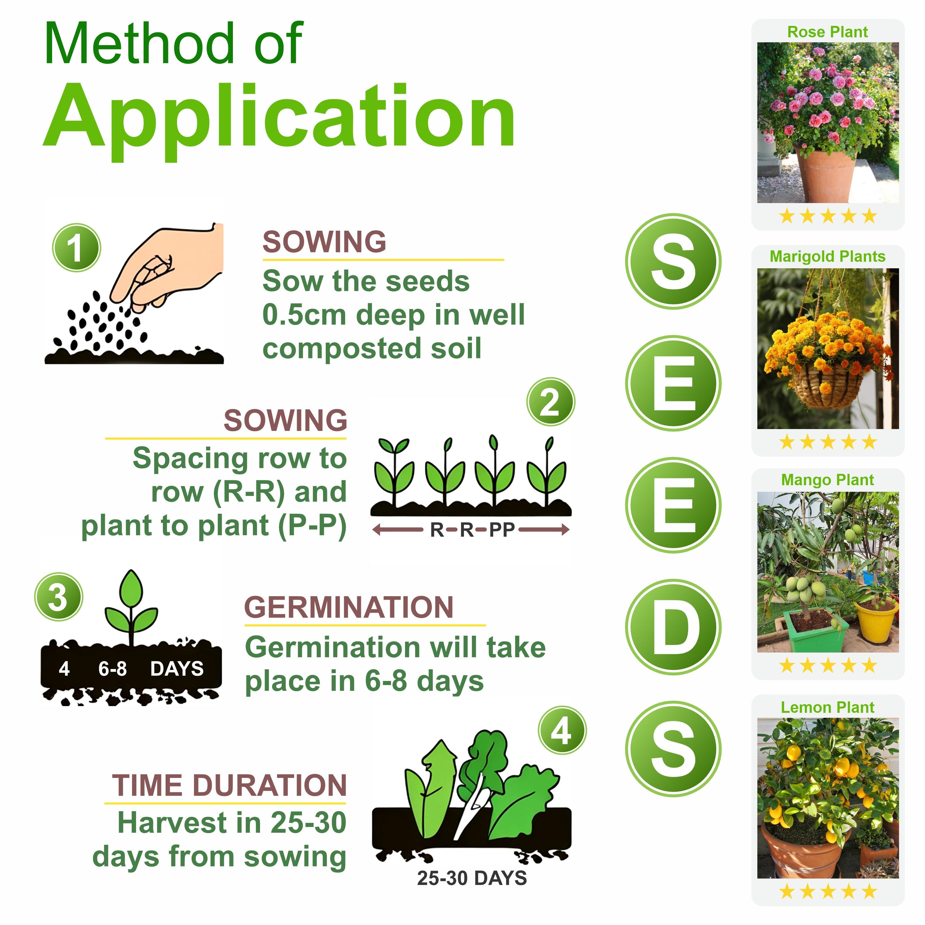 Bottle Gourd seeds Loki Vegetable Seeds ( Pack of 10g, 80+ Seeds)