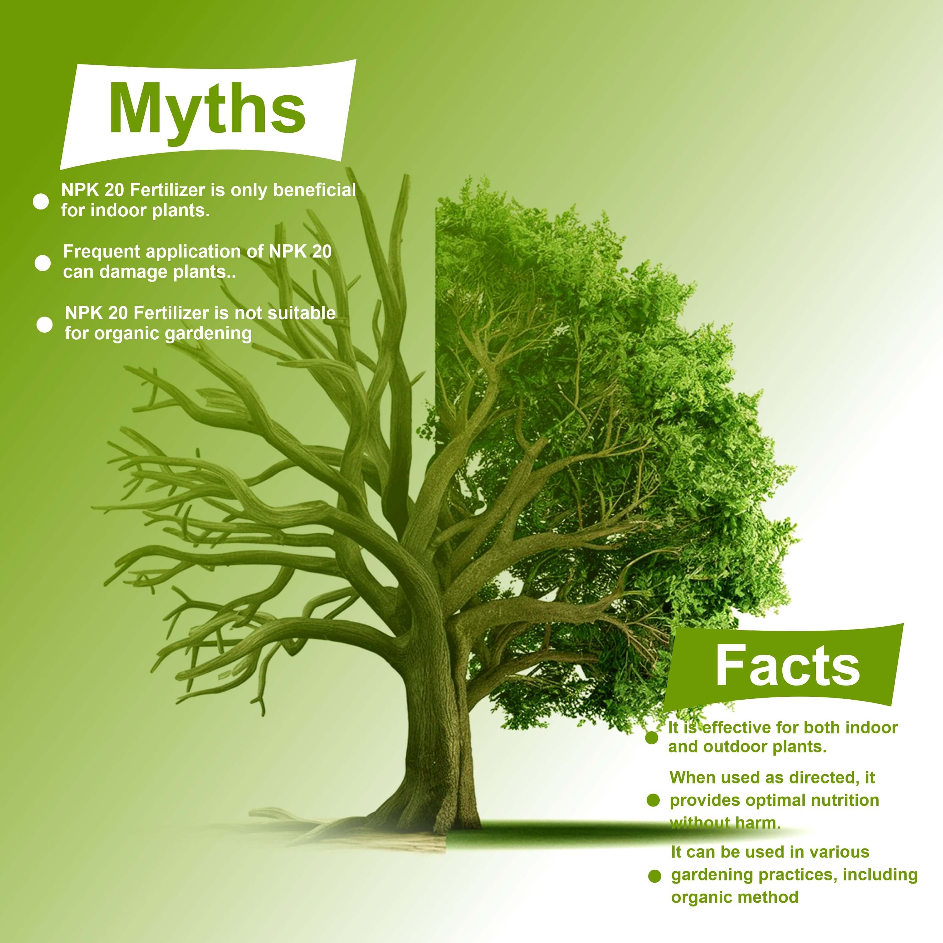 NPK 20 20 20 Water Soluble Granules Fertilizer for Plants or Abundant Flowering and Plant Growth, Fertilizer for Home Plants 100% Water Soluble