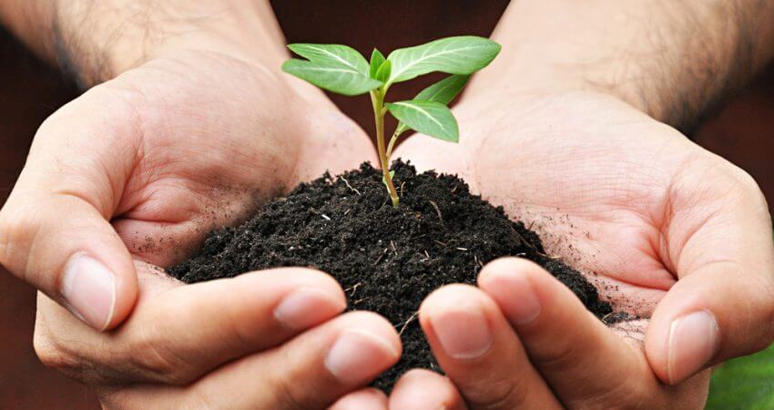 Vermicompost Complete Plant Food Effective Organic Fertilizer & Manure 100% Virgin