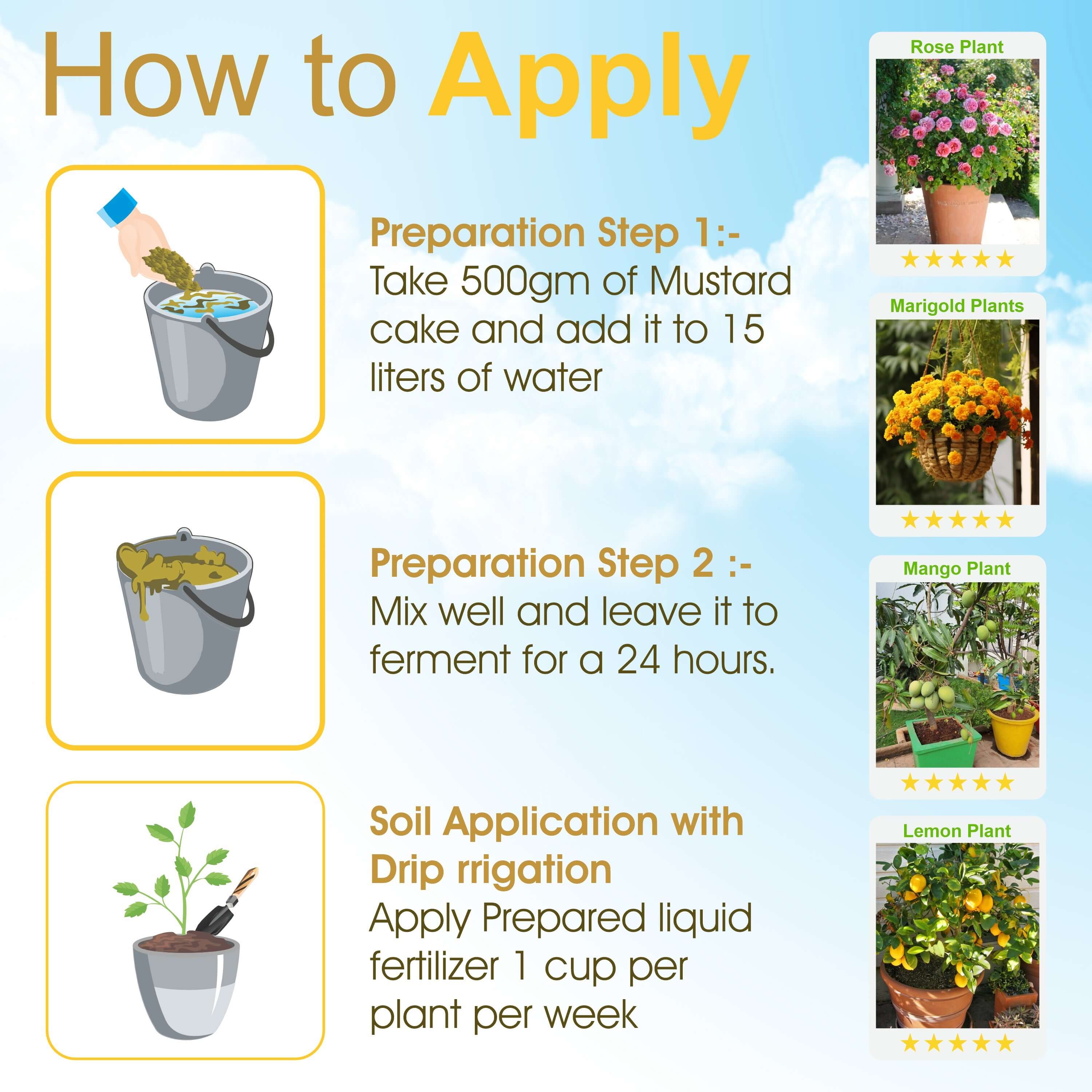 Mustard Cake Powder for Plants and Home Garden – Organic Fertilizer 1KG