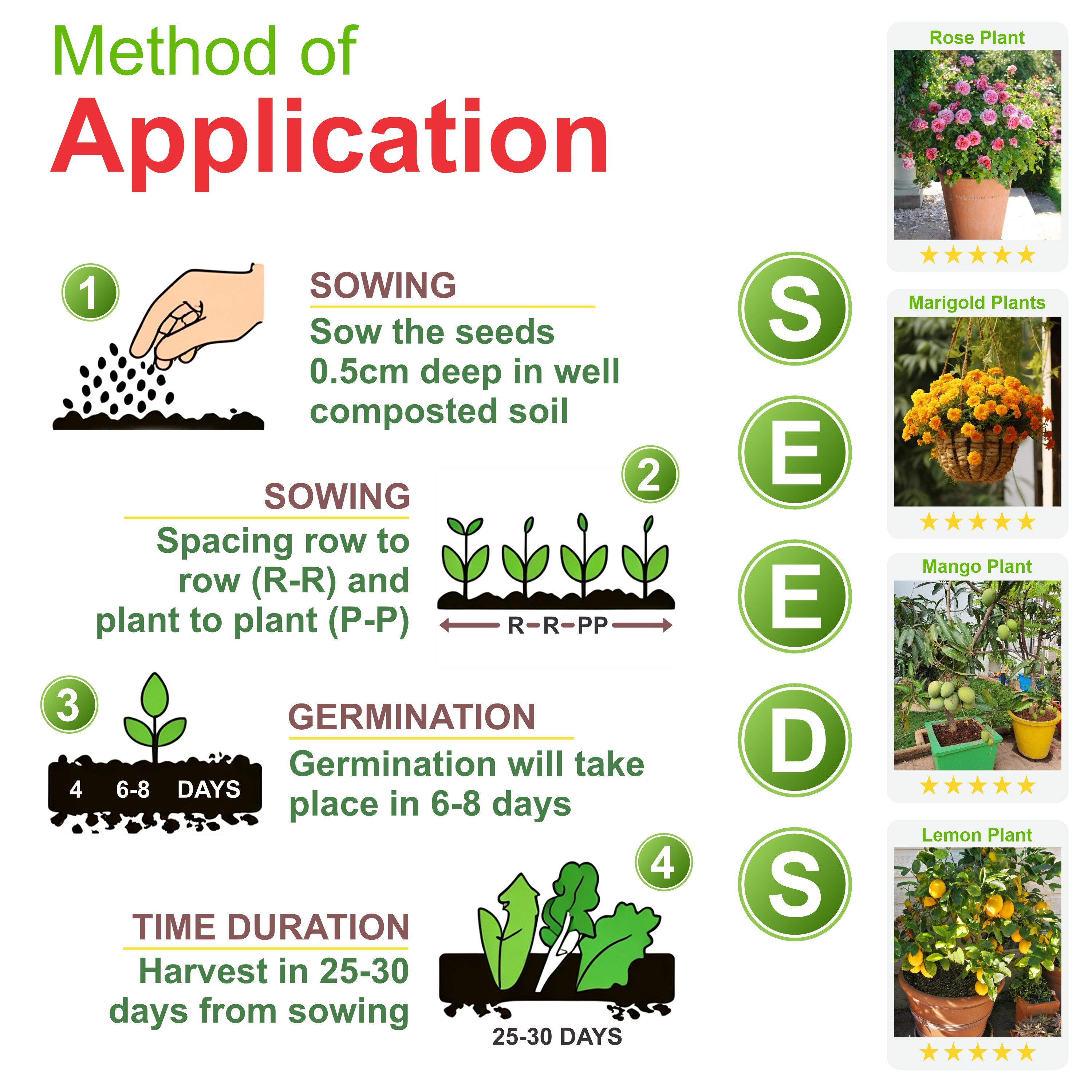 Tomato, Cherry Tomato Honey – Seeds (Red, Pack of 10g, 2000+ Seeds) Seeds to grow in Your Home & kitchen garden