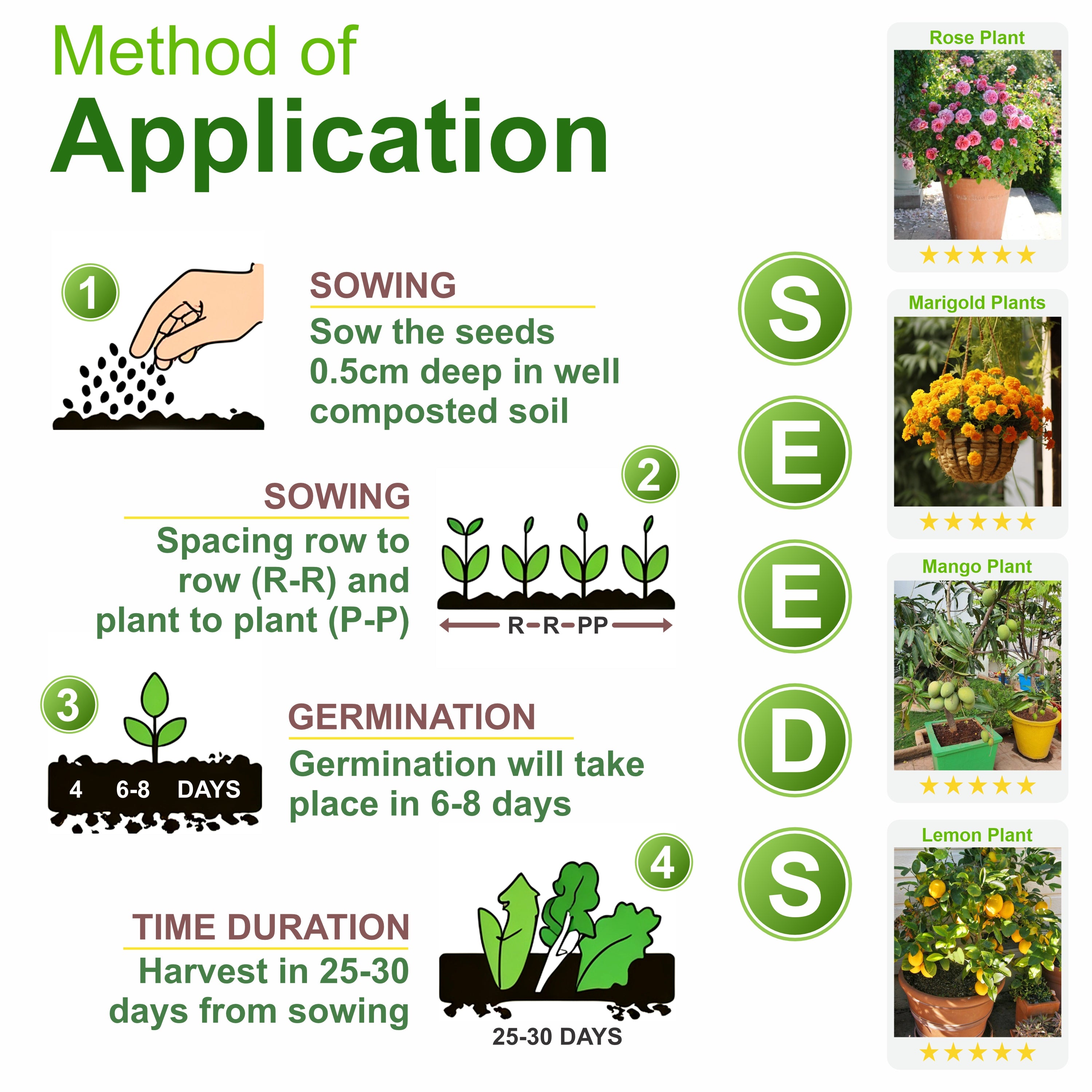 okra seeds Bhindi Vegetable Seeds ( Pack of 25g, 400+ Seeds) Seeds to grow