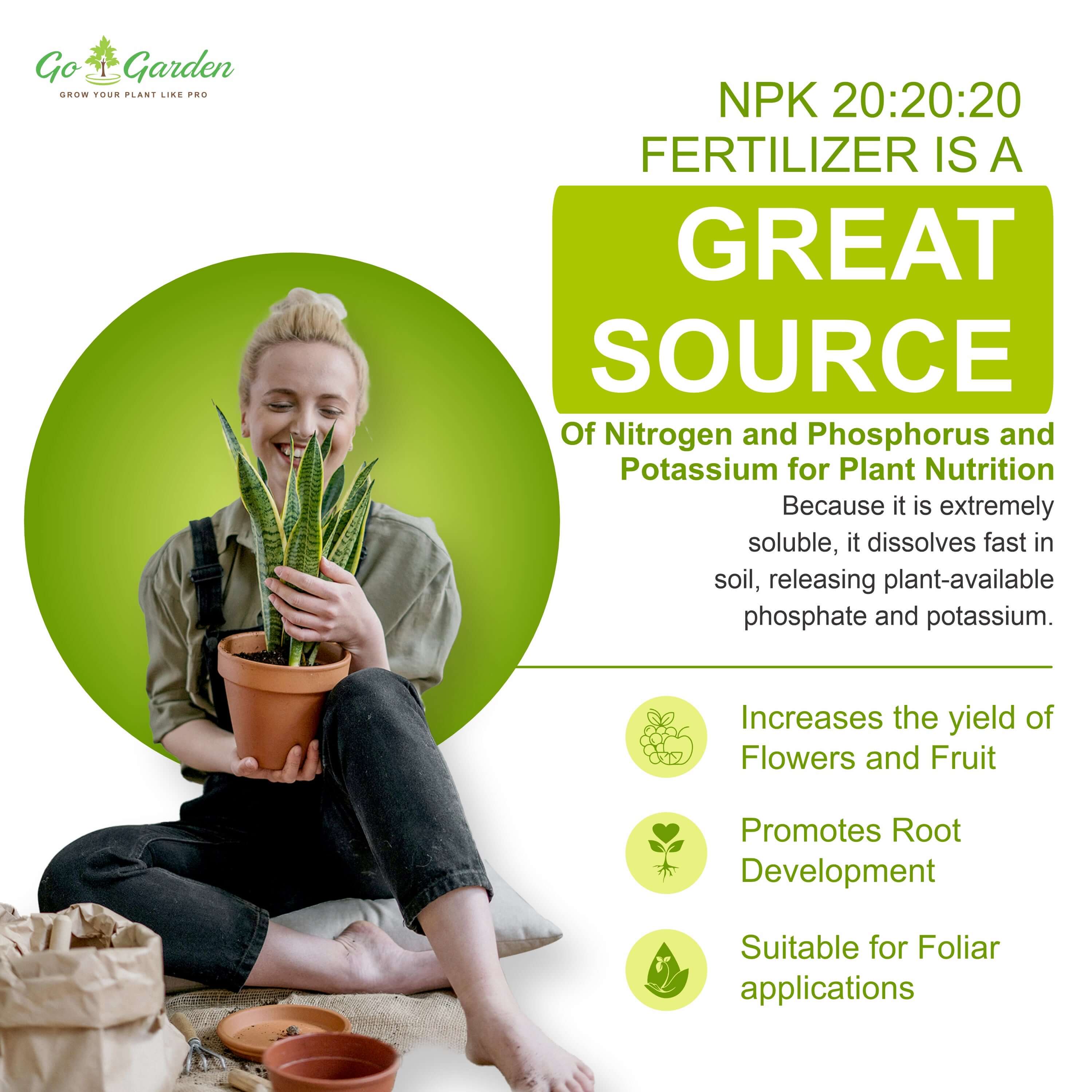 NPK 20 20 20 Water Soluble Granules Fertilizer for Plants or Abundant Flowering and Plant Growth, Fertilizer for Home Plants 100% Water Soluble