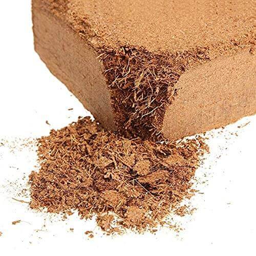 Cocopeat Block for Gardening