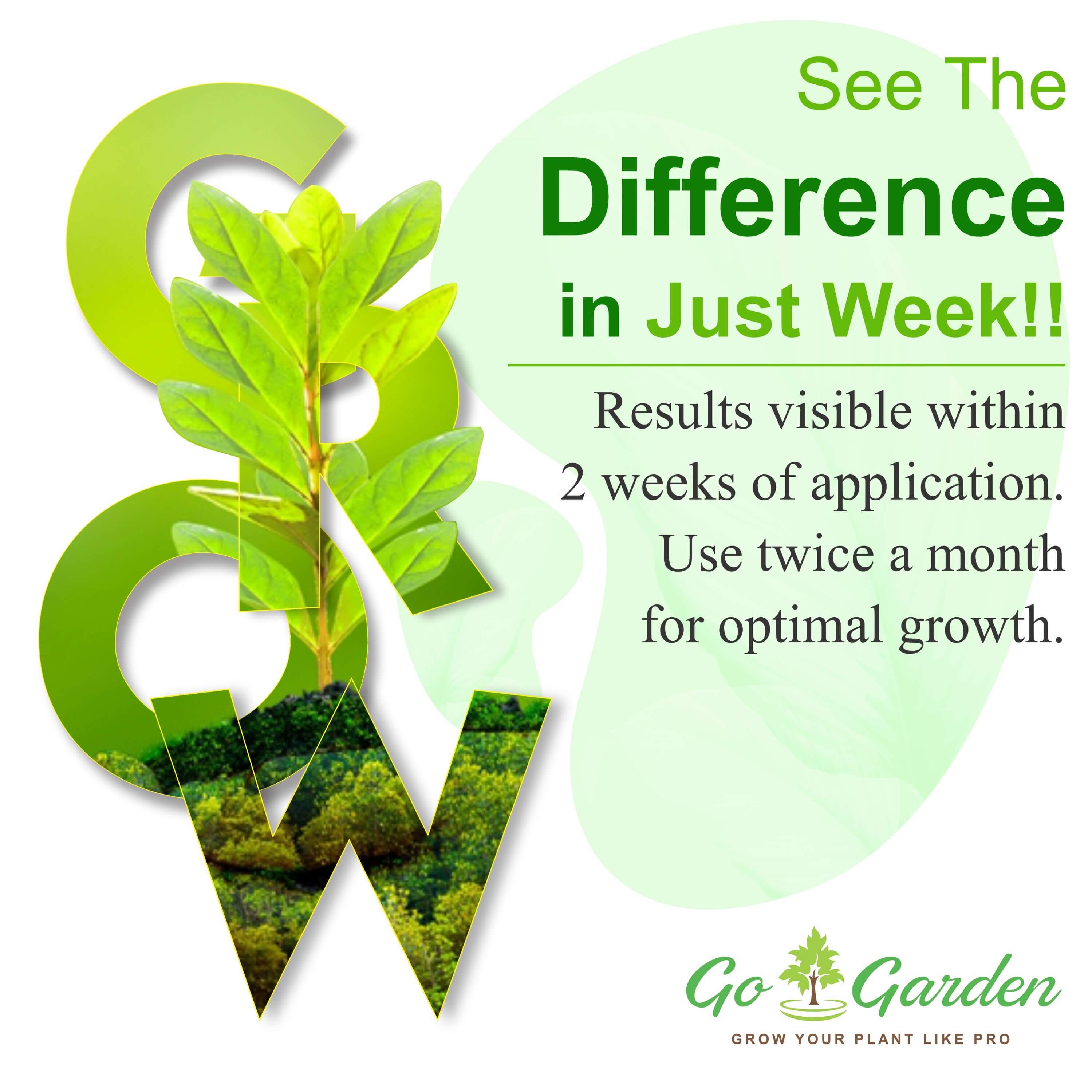 All Purpose Plant Food, Mixed Fertilizer for House Plants, Complete Nutrition with Micronutrients – for Better Plant Growth, 10 sachets, 250 gm