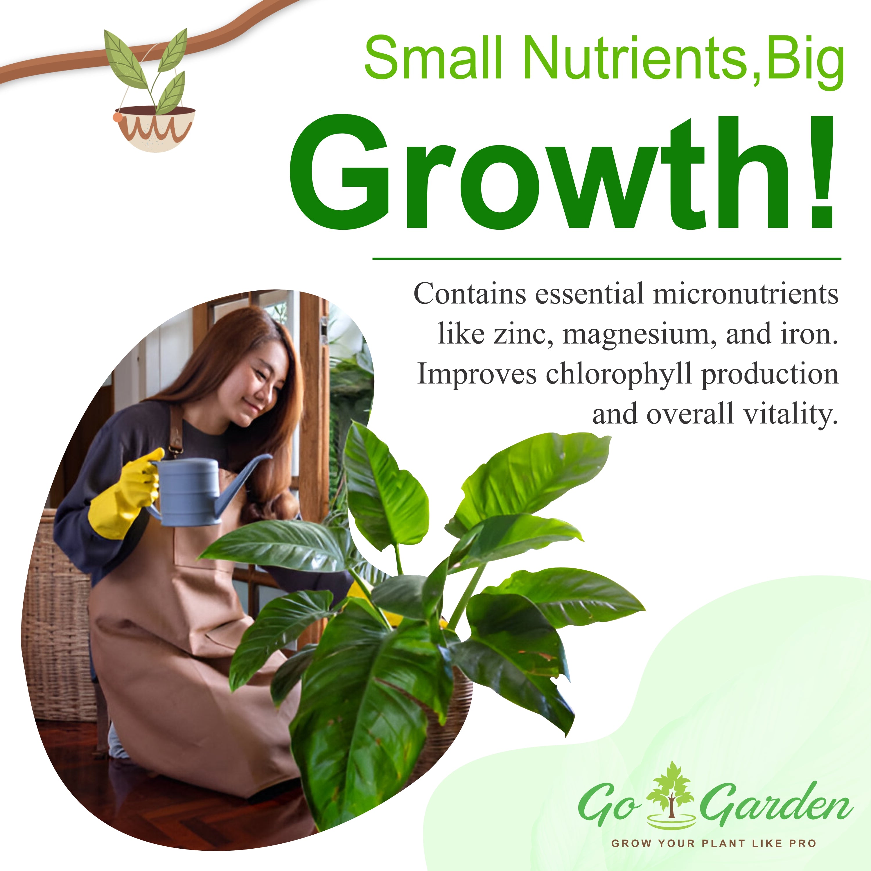 All Purpose Plant Food, Mixed Fertilizer for House Plants, Complete Nutrition with Micronutrients – for Better Plant Growth, 10 sachets, 250 gm