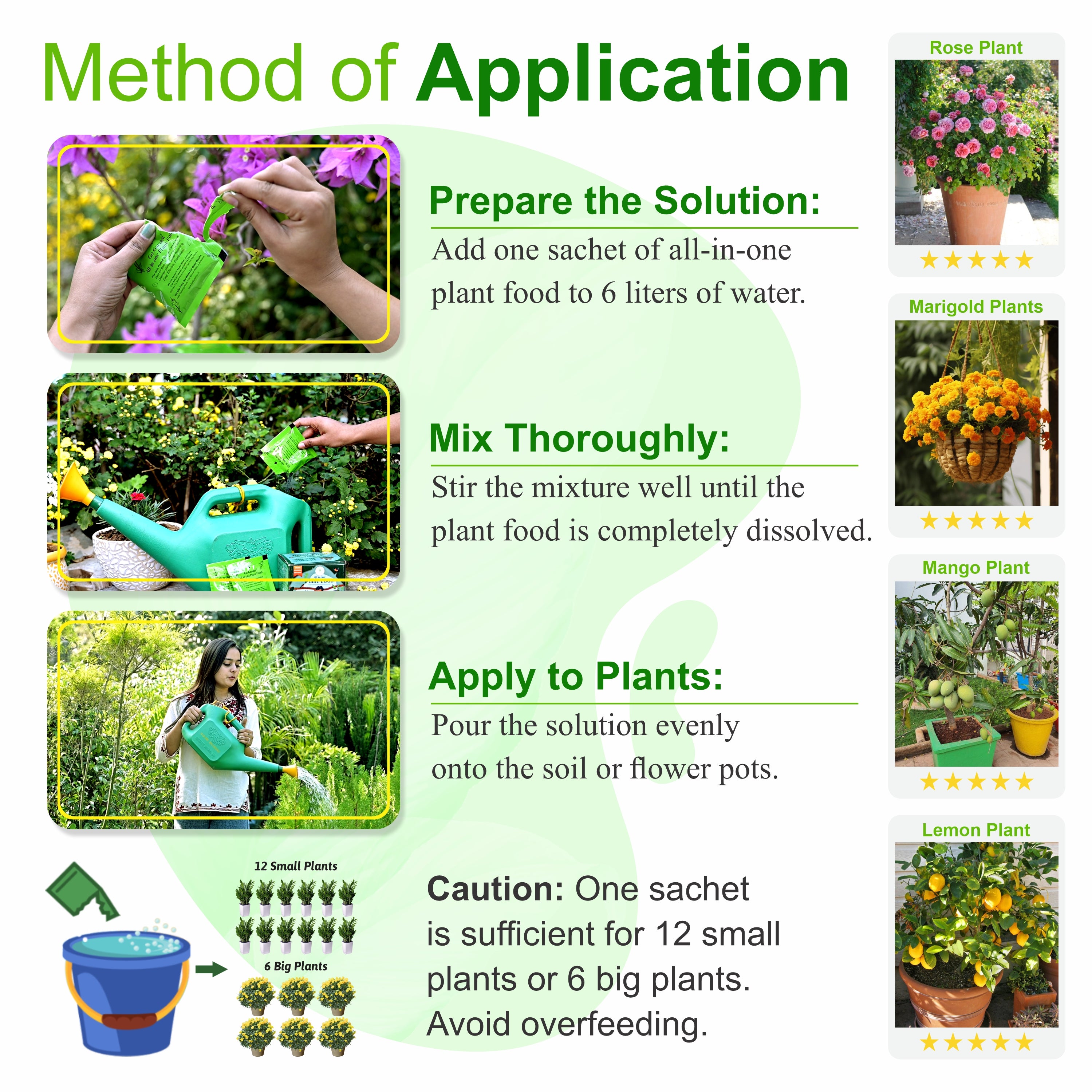 All Purpose Plant Food, Mixed Fertilizer for House Plants, Complete Nutrition with Micronutrients – for Better Plant Growth, 10 sachets, 250 gm