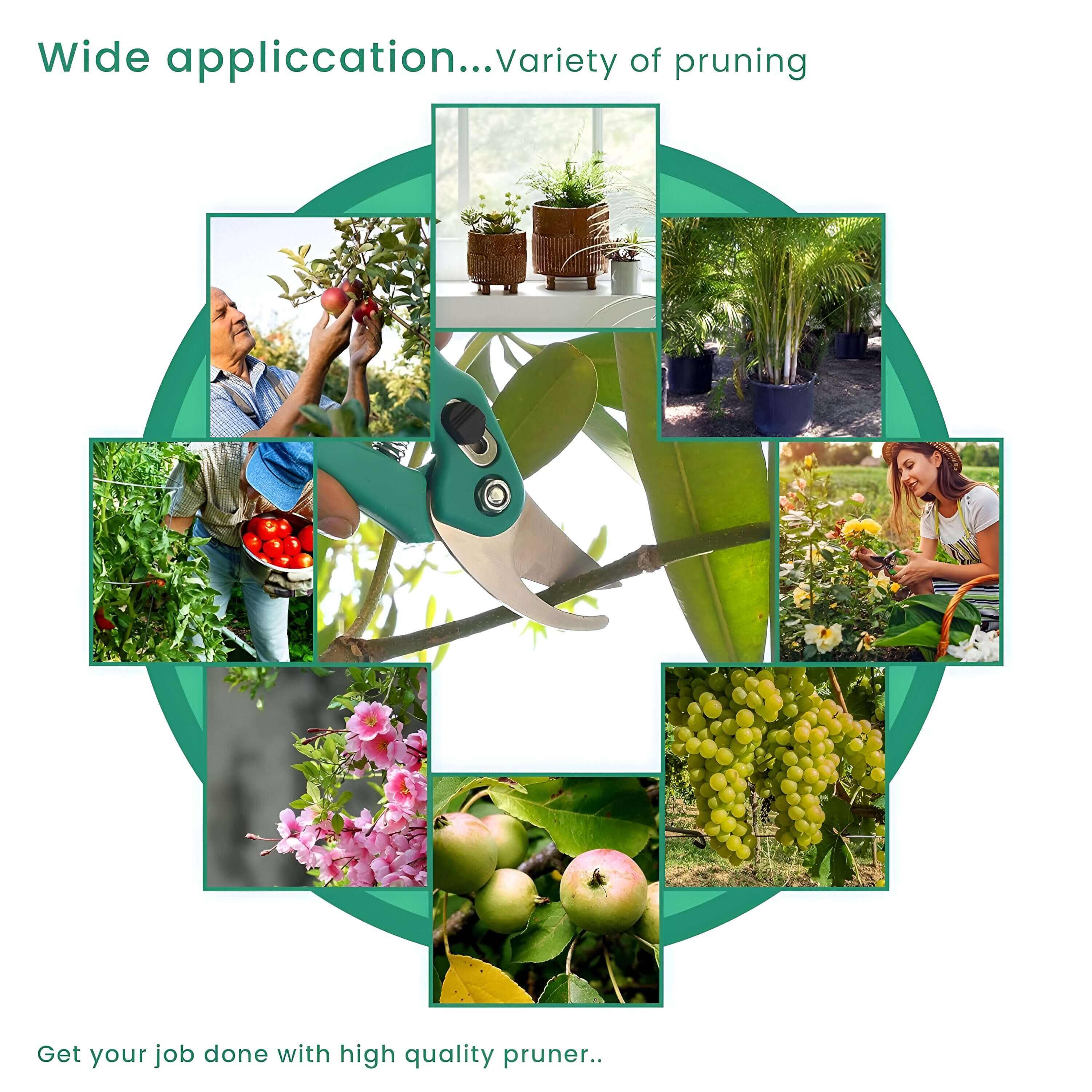 Assorted Hand Pruner Cutter - Heavy Duty Steel Blades Gardening Tool | Plant Cutter for Home Garden | Wood Branch Trimmer | Grass Cutting Accessory